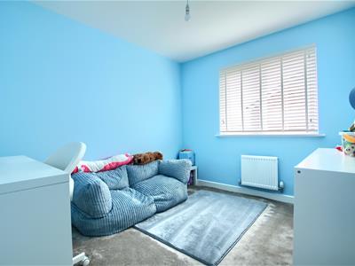 Picture 11